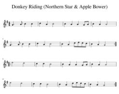 Donkey_Riding